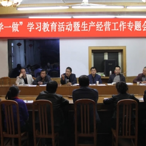 公司組織召開“兩學(xué)一做”學(xué)習(xí)教育活動暨生產(chǎn)經(jīng)營工作專題會議