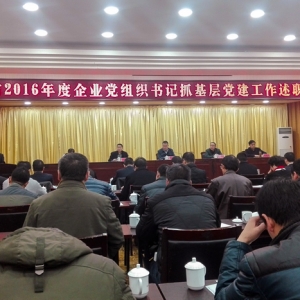 公司領(lǐng)導(dǎo)參加全市2016年度企業(yè)黨組織書記抓基層 黨建工作述職大會