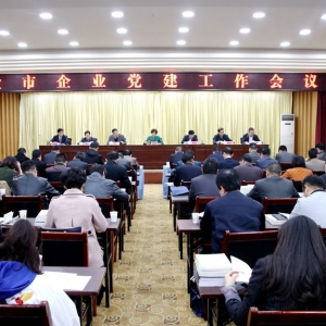 天水市召開全市企業(yè)黨建工作會(huì)議(組圖)