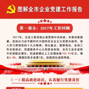 圖解全市企業(yè)黨建工作報(bào)告