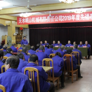 公司召開(kāi)2019年度先進(jìn)表彰大會(huì)