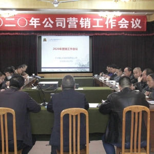 公司召開2020年營銷工作會議