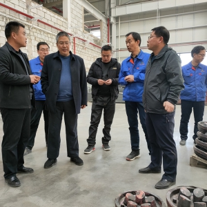 張新子赴新廠區(qū)指導(dǎo)春節(jié)后復(fù)工復(fù)產(chǎn)工作