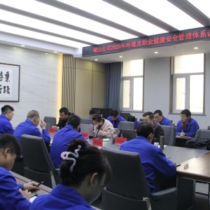 公司順利通過2025年度環(huán)境管理體系與職業(yè)健康安全管理體系認(rèn)證 ... ...